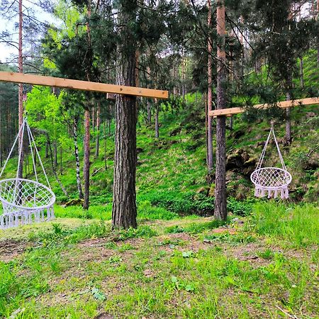 Vila Pogled Wellness I Spa Divčibare エクステリア 写真