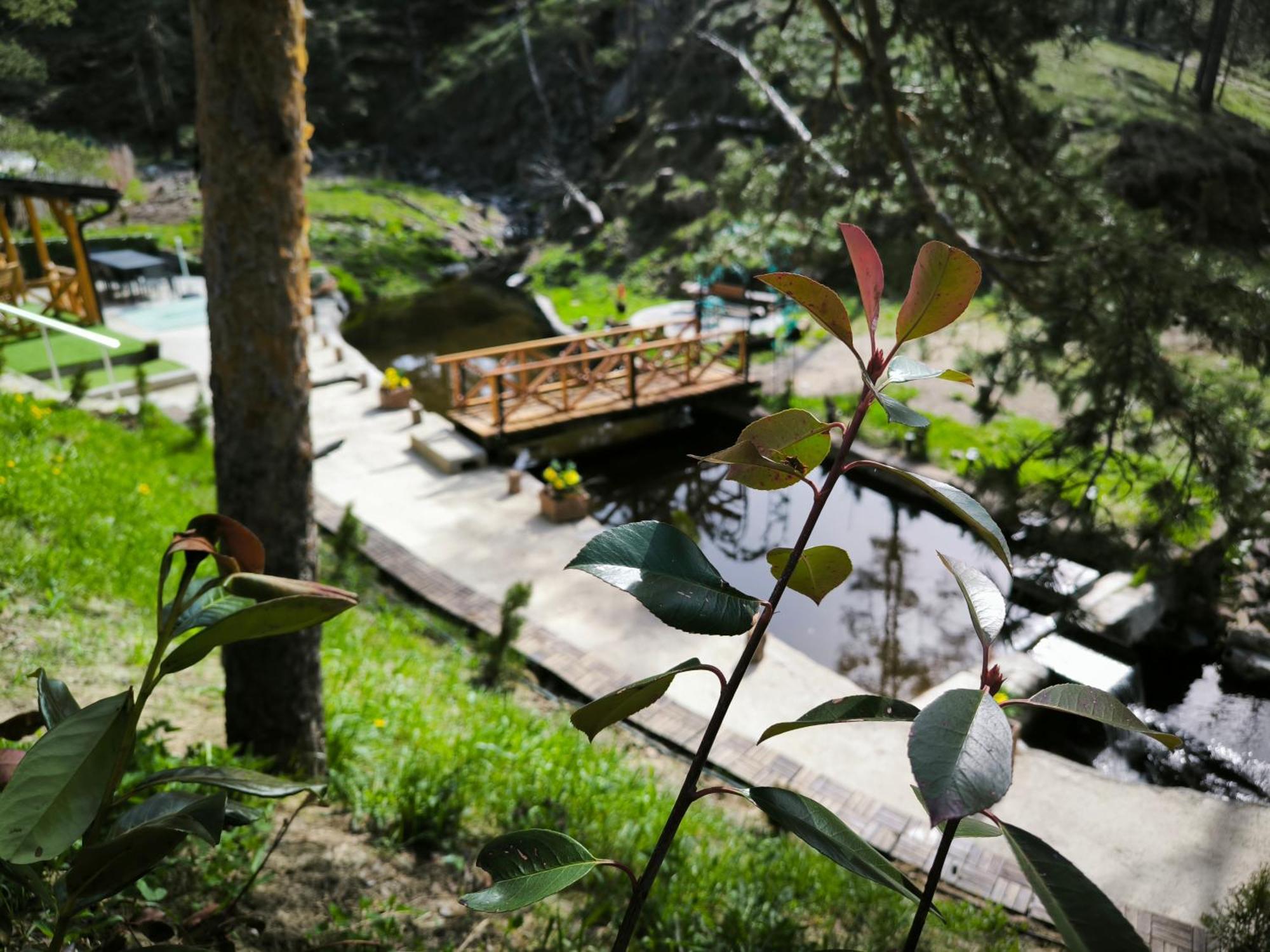 Vila Pogled Wellness I Spa Divčibare エクステリア 写真